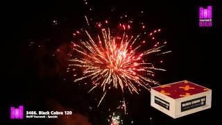 Black Cobra 120  Wolff Vuurwerk  Specials  vuurwerkbiebnl [upl. by Ajak465]