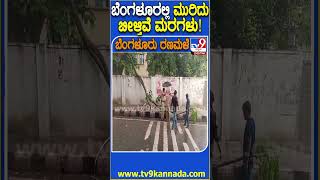 Bengaluru Rain ಬೆಂಗಳೂರಲ್ಲಿ ಮಳೆ ಹೊಡೆತಕ್ಕೆ ಧರೆಗುರುಳುತ್ತಿವೆ ಮರಗಳು  TV9D [upl. by Mordecai]