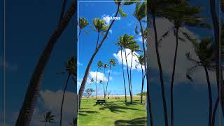 KAHALA BEACH ⛱️ Hawaii John Shorts hawaii honolulu waikiki [upl. by Campball]