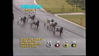 2001 Freehold Raceway CHECK AND RAISE Ross Croghan NJSS 2YO Fillies Pace [upl. by Livvyy]