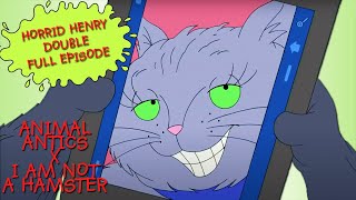 Animal Antics  I Am Not A Hamster  Horrid Henry DOUBLE Full Episodes [upl. by Ayhtak681]