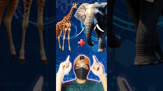 Giraffe  elephant ex  animals animals experiment incredible amazing shorts hybrid edit ai [upl. by Aiciled]