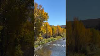 Colorado River Cottonwoods Glow [upl. by Esmerolda]