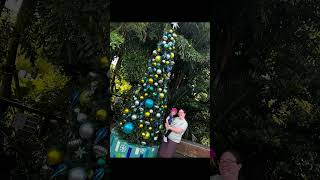 SeaWorld Orlando Christmas Celebrationa can’t miss event seaworldorlando christmascelebration [upl. by Dollar]