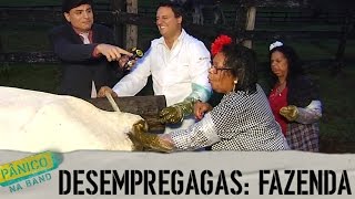 DESEMPREGAGAS FAZENDA [upl. by Tireb]