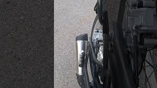 Stock Leoncino 500 Trail exhaust sound [upl. by Lancaster]