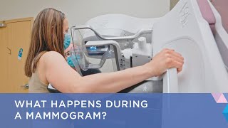 What Happens During a Mammogram [upl. by Aisor]