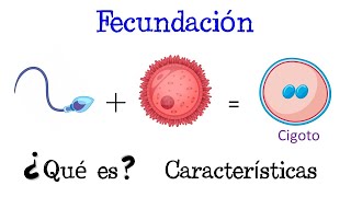 💥 ¿Qué es la Fecundación 💥 Fácil y Rápido  BIOLOGÍA [upl. by Pace372]