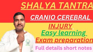 Cranio Cerebral Injuries  easy learning Craniocerebral Injuries  Shalya Tantra  शल्यतंत्र [upl. by Regina]