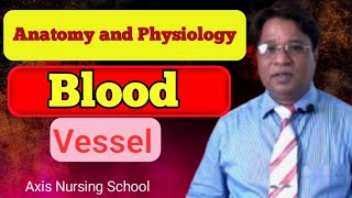 রক্তনালী Blood Vessel anatomy physiology [upl. by Waxman110]