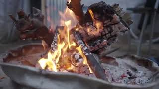 Napoli  CAPORALATO EMERGENCY A SAN FERDINANDO E RAGUSA CONDIZIONI DISUMANE 250624 [upl. by Jerri74]