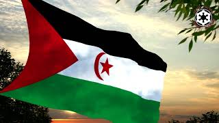 Western Sahara   Sahara Occidental HD [upl. by Ynafetse]