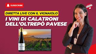 Diretta Live con il Produttore  Calatroni Vini Oltrepò Pavese Spumante Metodo Classico [upl. by Siol]