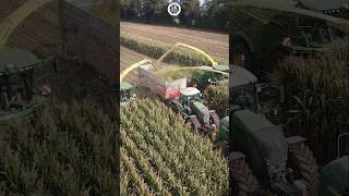 Retour sur ce chantier densilage XXL filmé en Mayenne en 2021 🌽 farming agriculture [upl. by Liamsi764]