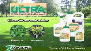 Zamzows ULTRA Broadleaf Weed Killer [upl. by Whipple401]