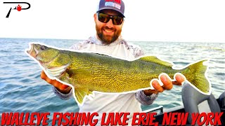 Lake Erie Walleye Fishing New York [upl. by Gleda]