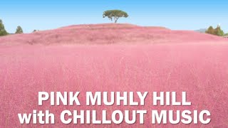 Chillout Music at Pink Muhly Hill for Comfort and Study [upl. by Llertnad]