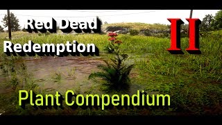 Red Dead Redemption 2 Plant Compendium [upl. by Netsrijk]