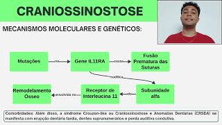 Craniossinostose  Trabalho Embriologia  UFAL [upl. by Kramnhoj]