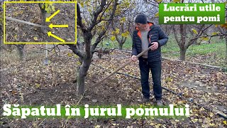 Lucrări utile pentru pomii fructiferi săpatul în jurul pomilor [upl. by Ahsini]