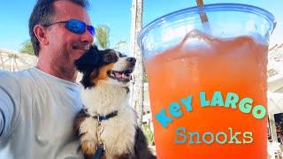 Florida Mini Loop Ep22  Sunset Cove Key Largo [upl. by Eleynad]