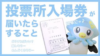 【前編】投票所入場券が届いたら？？～いかずきんずファミリー編～【期日前投票】 [upl. by Hillel]