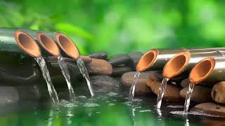 Relaxing Music  Spa Music Massage Yoga Sleep Music Running Water Stress Relief Music Zen [upl. by Ativad]