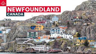 Canada Road Trip Best Things To Do In Newfoundland [upl. by Amin]