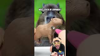 Eu não gosto de capivara italianinho [upl. by Akcemat144]