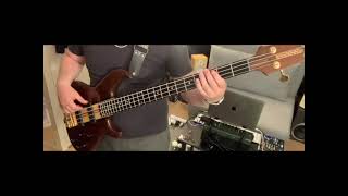 The Wallflowers One Headlight Bass Cover RE [upl. by Hekking]