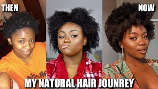 I Went Natural 10 Years Ago Here’s What I’ve Learned  My Natural Hair amp Self Love Journey [upl. by Noiraa]