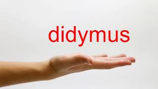 How to Pronounce didymus  American English [upl. by Loziram]