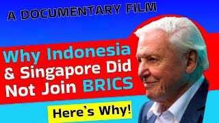 Why Indonesia and Singapore Didnt Join BRICS [upl. by Yorke]