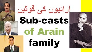 SubCaste of Arain  آراءيوں کی گوتيں  mian  ramay  chaudhry  mehar  bhutta  bhutto  JH TV [upl. by Aerb914]