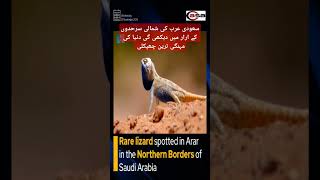 کروڑوں کمانے کا نادر موقع how news saudivisa saudi pti visa visaprocess uae uaevacancies [upl. by Roselyn827]