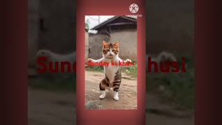 sunday ki khusi [upl. by Ahsatsan]