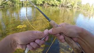 Pêche du chevesne a la mouche débutant [upl. by Iver]