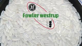 Fowler Westrup Complete Rice Milling Solutions [upl. by Learsiy]