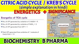 Citric acid cycle  krebs cycle  Biochemistry  B pharma [upl. by Seravart77]