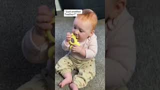 A fun teether for babies and a tool for parents once those teeth come in [upl. by Novert]