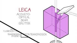 AcoustoOptical Beam Splitter  Leica TCS SP8 AOBS [upl. by Eelrebmik]