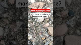 Conglomerate geologist shorts geology geologist rock trending confused wowgeology explore [upl. by Lindsay]