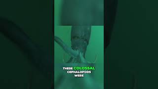 The Real Life Encounters of This Deep Sea Creature Are SCARY [upl. by Keelia]