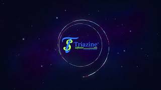 Meet  Team Triazine  Triazine Software Private Limited [upl. by Brendan83]