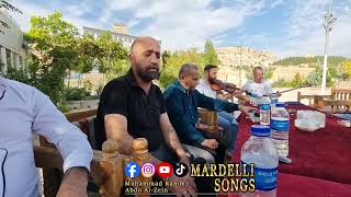 Mardelli Songs Orginal mardellisongs arabmardin mardin music mardelli live [upl. by Zilevi316]