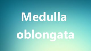 Medulla oblongata  Medical Meaning and Pronunciation [upl. by Story]