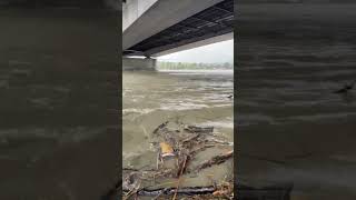 Hochwasser Wien Donau [upl. by Struve]