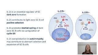 IL21 shapes germinal center polarization via light zone B cell selection and cyclin D3 upregulation [upl. by Carilla]