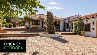 Finca rústica de 105 hectáreas en venta en Villaviciosa de Córdoba  P2834  Vendida [upl. by Assirk809]