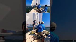 J24 jibing to the finish sailing viral learntosail j24 boat sail howtosail regatta [upl. by Ardeahp146]